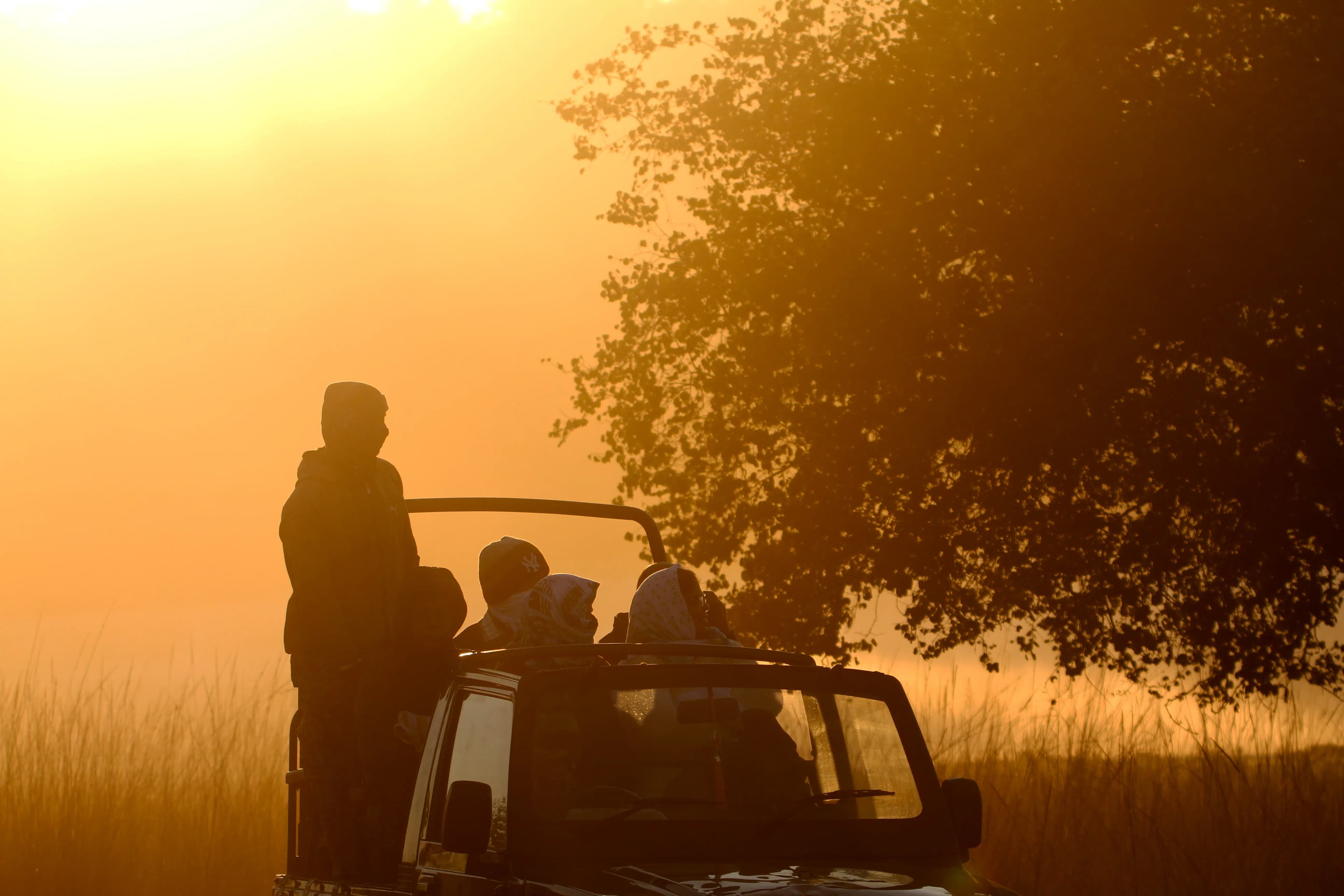 Sunrise Safari